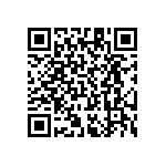 RT1206CRE076K98L QRCode