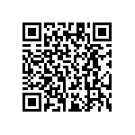 RT1206DRD0713K3L QRCode