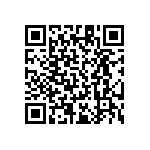 RT1206DRD07174RL QRCode