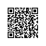 RT1206DRD0728K7L QRCode