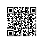 RT1206DRD07316KL QRCode