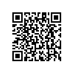 RT1206DRD0741R2L QRCode