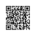 RT1206DRD0751R1L QRCode