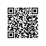 RT1206DRD0791KL QRCode