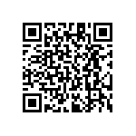 RT1206DRE0729K4L QRCode