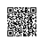 RT1206DRE0730K1L QRCode