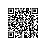 RT1206DRE07316RL QRCode