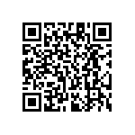 RT1206DRE0738K3L QRCode