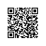 RT1206DRE073K9L QRCode