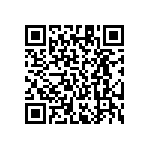 RT1206DRE07453KL QRCode