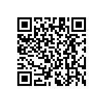 RT1206DRE07787KL QRCode