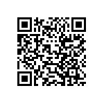 RT1206DRE078K06L QRCode