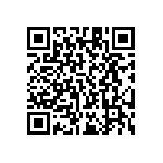 RT1206FRE0711K3L QRCode