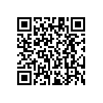 RT1206FRE0713K3L QRCode