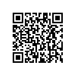 RT1206FRE0716K2L QRCode