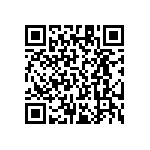 RT1206FRE0716K9L QRCode