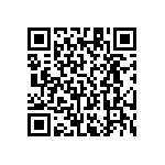 RT1206FRE0742K2L QRCode