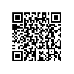 RT1206WRB07133RL QRCode