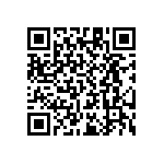 RT1206WRB0719K1L QRCode