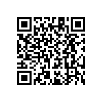 RT1206WRB071K13L QRCode