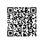 RT1206WRB0723K2L QRCode