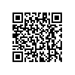 RT1206WRB0724R3L QRCode