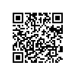 RT1206WRB07300RL QRCode