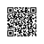 RT1206WRB07402RL QRCode