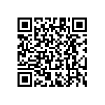 RT1206WRB074K02L QRCode