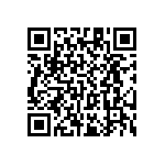 RT1206WRC0717K4L QRCode