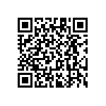 RT1206WRC0724R9L QRCode