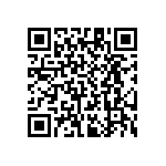 RT1206WRD0723K2L QRCode