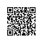 RT1206WRD0793R1L QRCode