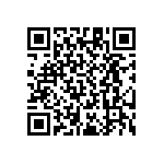 RT1206WRD07953RL QRCode