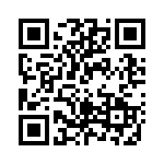 RT134012 QRCode