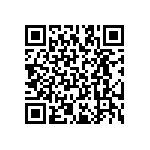 RT2512FKE071K58L QRCode