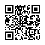 RT8292BLGSP QRCode