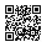 RT9041E-12GQW QRCode