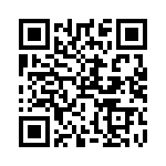 RT9167A-28GB QRCode
