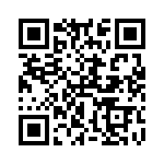 RW2R0CBR300JT QRCode