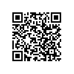 RWR80SR300FRS73 QRCode