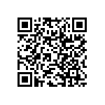 RWR81N13R7FSB12 QRCode