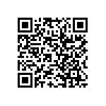 RWR81S28R1FRB12 QRCode