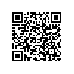 RWR81S9530FSB12 QRCode