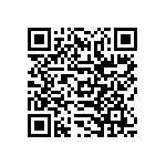 SIT1602BI-12-33E-24-576000D QRCode