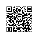 SIT1602BI-13-30N-33-333300E QRCode