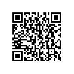 SMBG5919CE3-TR13 QRCode