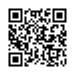 SMBG5953B-TR13 QRCode