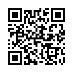 T101SK9V3BE QRCode