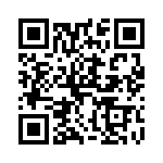 T203M1TDCQE QRCode
